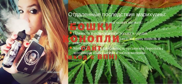 прущие грибы Белокуриха