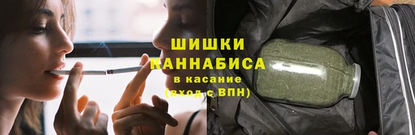 прущие грибы Белокуриха