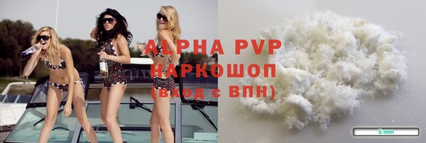 прущие грибы Белокуриха