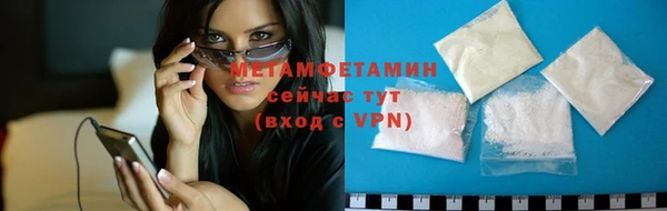 прущие грибы Белокуриха