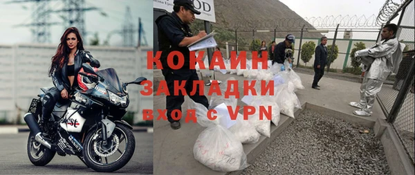 прущие грибы Белокуриха