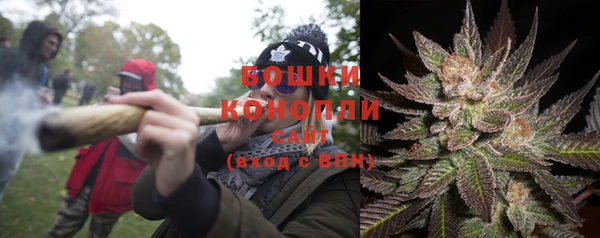 прущие грибы Белокуриха