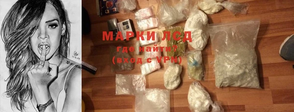 прущие грибы Белокуриха