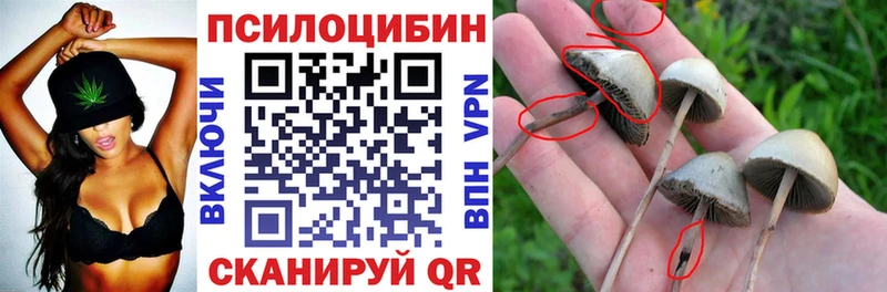 Галлюциногенные грибы мухоморы Завитинск