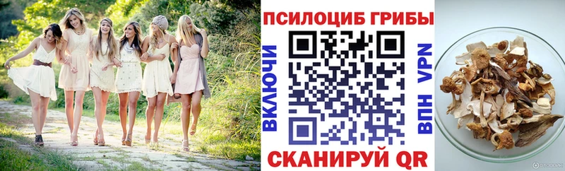 Галлюциногенные грибы мицелий  Завитинск 